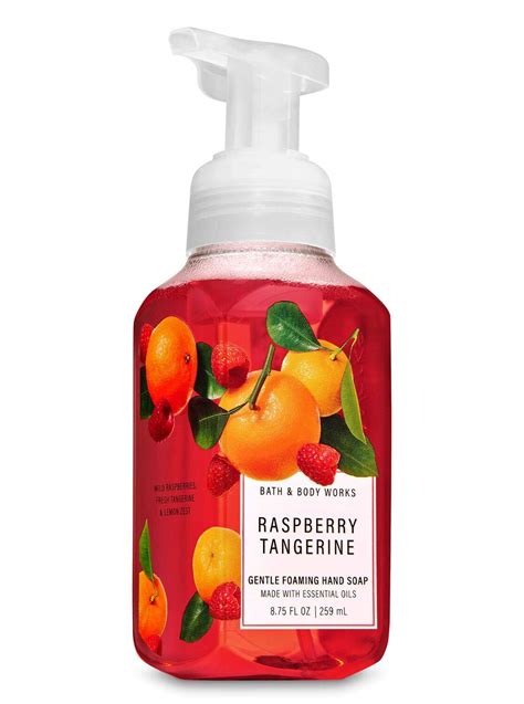 Amazon.com: Bath Body Works Gentle Foaming Hand Soap Raspberry ...