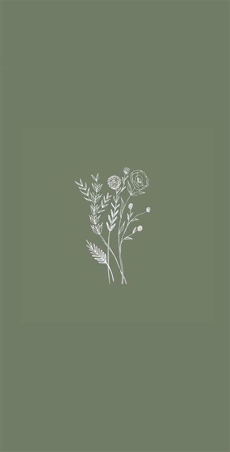 Flower illustrations. Aesthetic iphone , iPhone, Sage Green Aesthetic ...