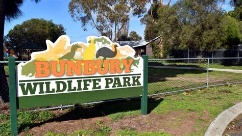 Bunbury Wildlife Park certifiably excellent | Bunbury Mail | Bunbury, WA