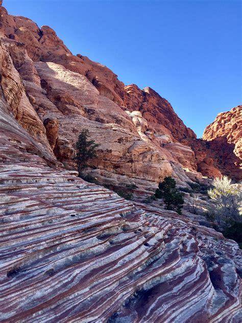 The colours of Calico Basin, Red Rock Canyon, Las Vegas, NV [2448x3264 ...