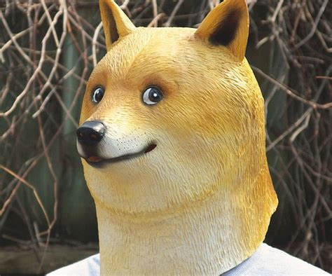 Doge Mask