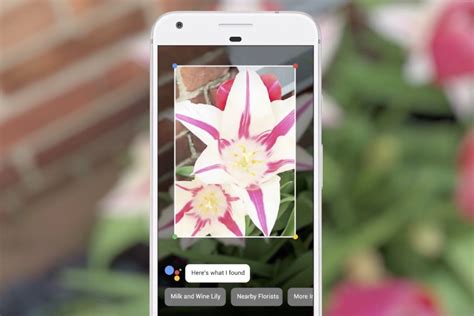 Google Lens adds unprecedented intelligence to your smartphone camera