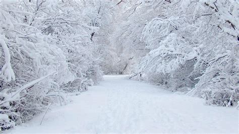 Snow Wallpapers, Snowfall Wallpaper For Desktop, #25415