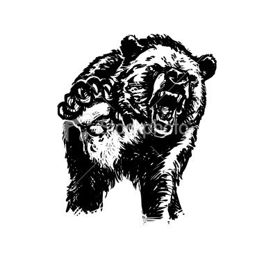 Angry Bear Drawing | Funny Collection World