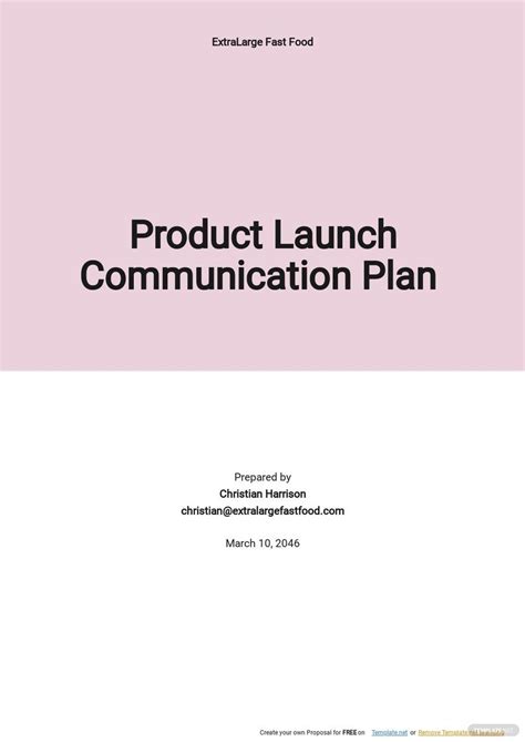 Product Launch Plan Template Word