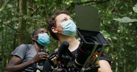 How Was Chimp Empire Made? Filmmakers Explain What It Was Like to Capture the Chimps Amidst ...