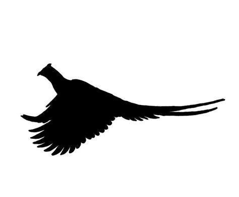 Running Rooster Pheasant Silhouette, Pheasant Hunting Decal | Hunting decal, Pheasant hunting ...