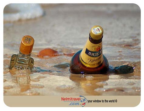 Tips for keeping your drinks cool at the beach |Nelmitravel