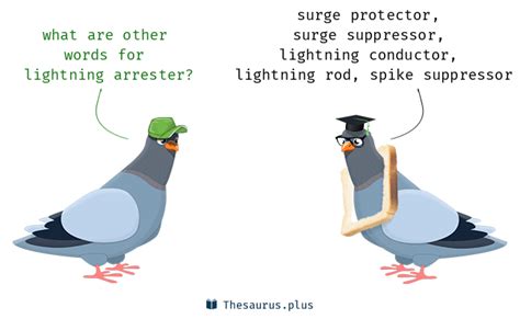 13 Lightning arrester Synonyms. Similar words for Lightning arrester.