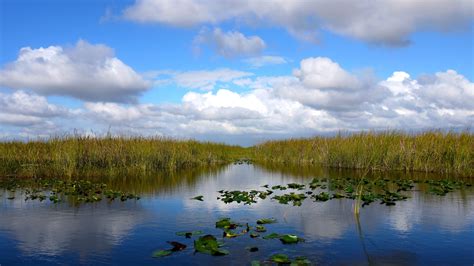 Everglades National Park Entrance Fee Increase Explained - FishingBooker Blog