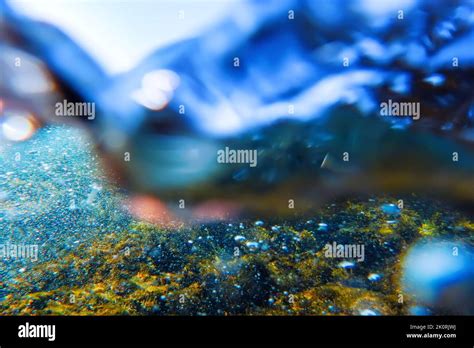 Forest of Seaweed, Seaweed Underwater, Underwater Scene Stock Photo - Alamy