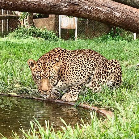 Nairobi Safari Walk - 2018 All You Need to Know Before You Go (with ...