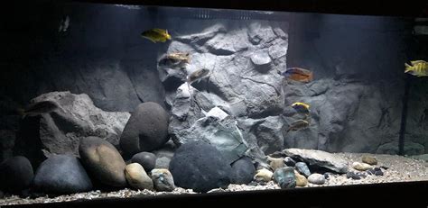 Fish Tank & Aquarium Backgrounds | Shop at Universal Rocks