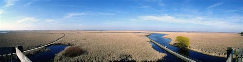 Point Pelee National Park | marsh, wildlife, migratory birds | Britannica