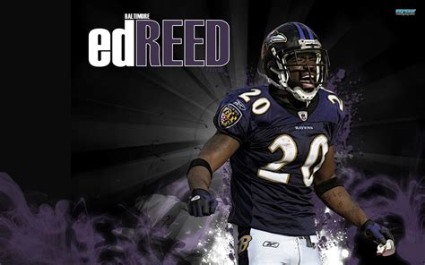 Ed Reed Wallpapers - Wallpaper Cave