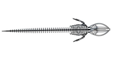 Fin Whale Skeleton - 3D Model by 3D Horse