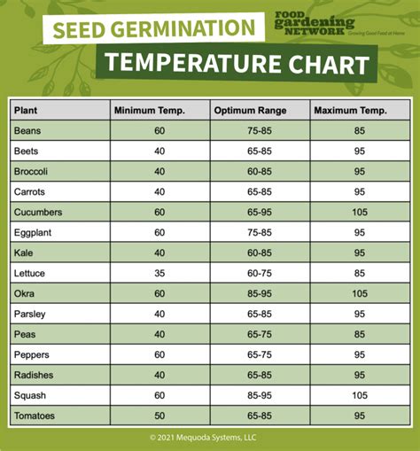 Plant Seed Germination Chart