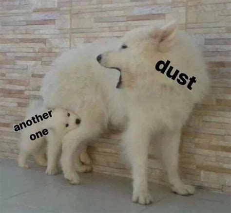 Another One Bites Dust Meme