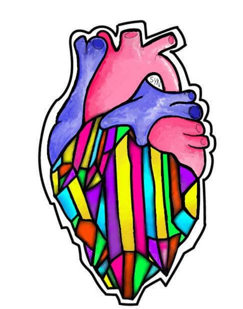 Anatomical heart Stickers | Etsy