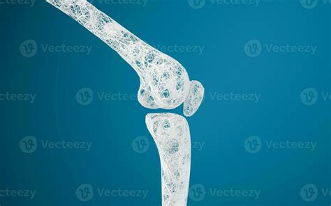 Leg bones and knees, 3d rendering. 27861057 Stock Photo at Vecteezy