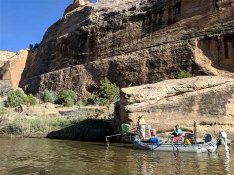 Endangered Fish of the Colorado River System