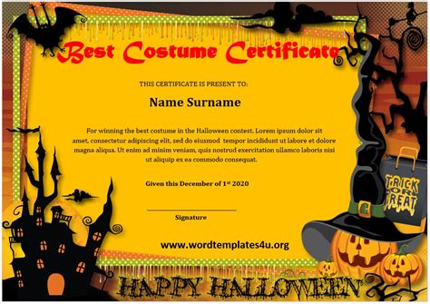 Best Costume Certificate Templates - Word Templates