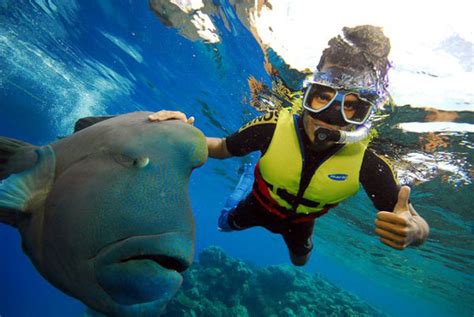 Little Corn Island | Snorkeling | Little Corn Island Beach & Ocean Front Boutique Hotel Resort ...