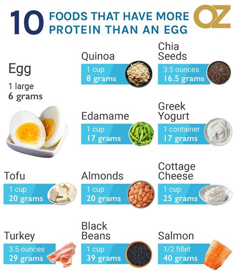 10 alimentos que tienen más proteína que un huevo | High protein foods list, High protein ...