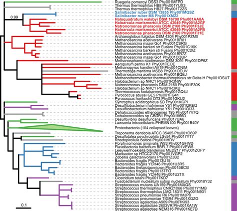 SICLE: a high-throughput tool for extracting evolutionary relationships from phylogenetic trees ...