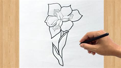 How To Draw An Iris Flower - Faultconcern7