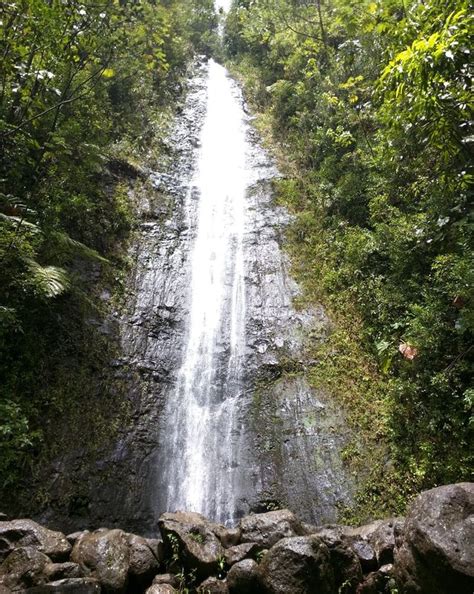 manoa-falls-oahu - HomeyHawaii