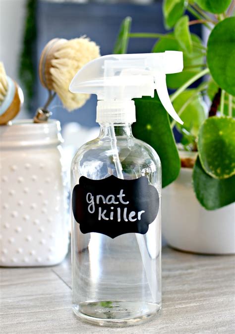 🍃 3-Ingredient DIY Gnat Killer: 🚫 Say Goodbye to Pesky Gnats!