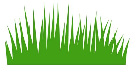 illustration of green grass 13166980 PNG