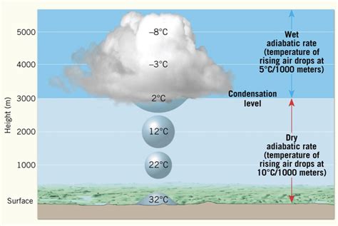 Solved Question 11: Supercooled water exists below freezing | Chegg.com