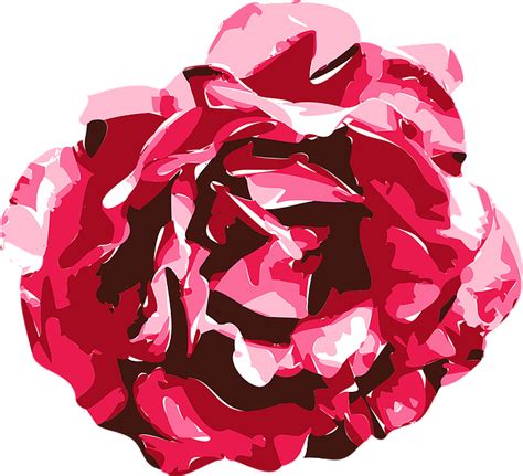 Download Rose, Vector, Nature. Royalty-Free Vector Graphic - Pixabay