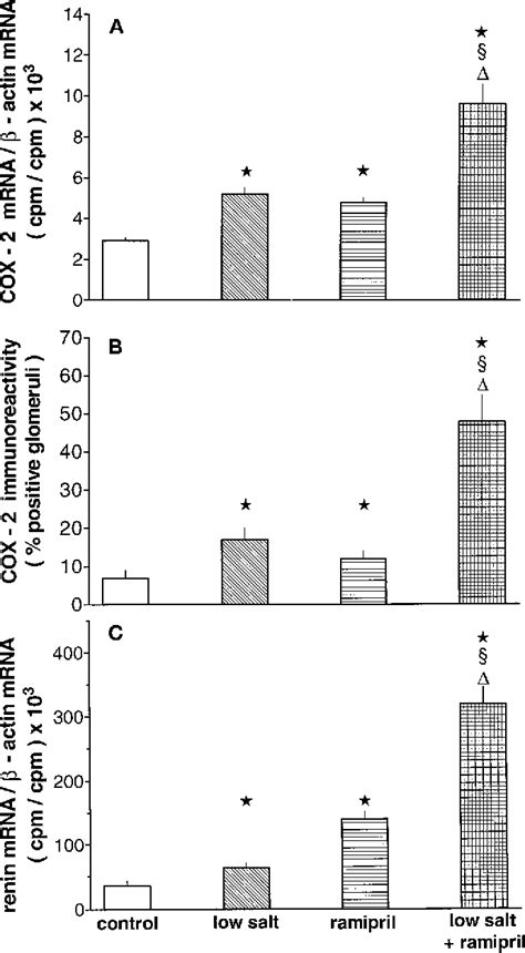 Figure 1 from Role of renocortical cyclooxygenase-2 for renal vascular resistance and macula ...
