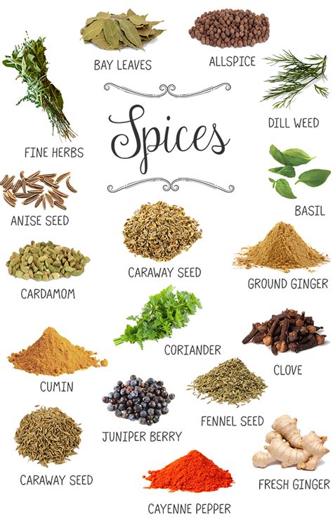 Spice Glossary| WW USA