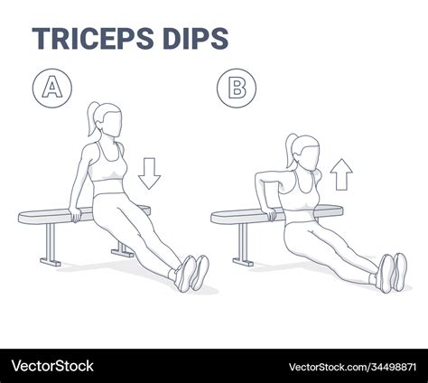 Seated Dips Exercise | Cabinets Matttroy