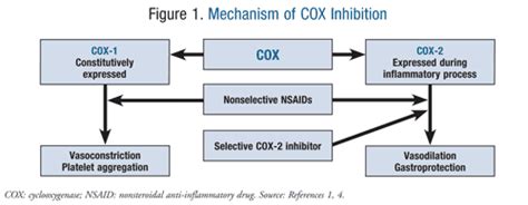 Cox 1 Vs Cox 2 - slideshare