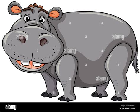 Hippopotamus In Cartoon Style illustration Stock Vector Image & Art - Alamy