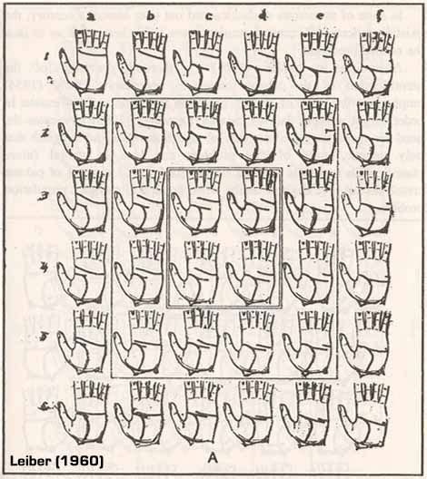 HAND LINES - Scientific classifications for the palmar creases! | Hand lines, Palmistry, Palm ...