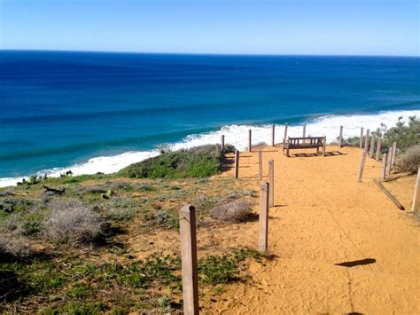 5 La Jolla Activities to Burn off That Thanksgiving Feast