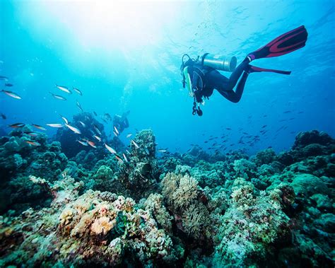 Scuba diving in Amed, Bali | OutdoorTrip