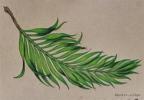 Frond. : r/drawing