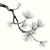 Pine Branch Vector - Download 376 Vectors (Page 1)