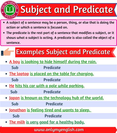 Simple And Complete Subject Examples