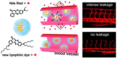 Highly lipophilic fluorescent dyes in nano-emulsions: towards bright non-leaking nano-droplets ...