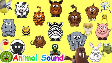 The Animal Sounds Song - Kids TV 123: Song Lyrics, Music Videos & Concerts