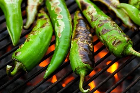 New Mexico Green Chile Guide