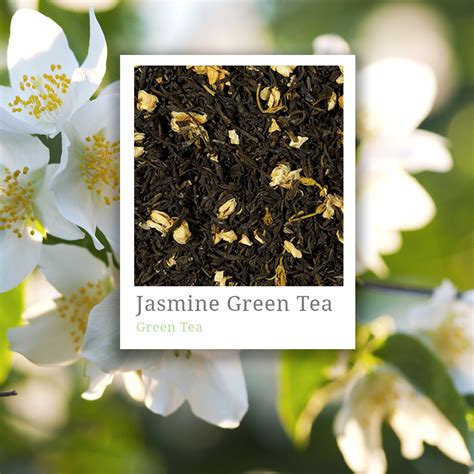 Jasmine Green Tea – Fuji | Speciality Tea and Coffee